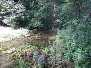 Problematičen del v Skaručni za kulturno dvorano - strjen konglomerat.